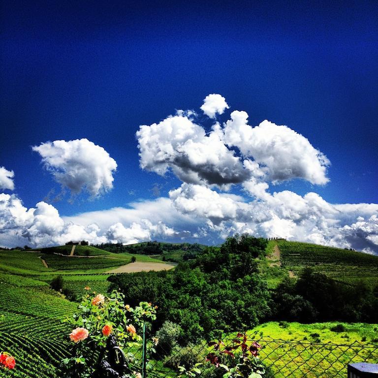Residence Delle Rose Barolo Cameră foto